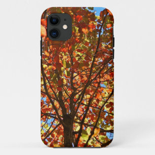 Autumn Leaves Fireworks iPhone 11 Case