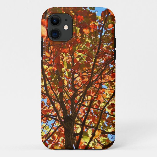 Autumn Leaves Fireworks Case-Mate iPhone Case (Back)