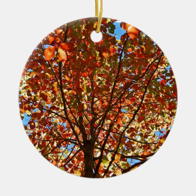 Autumn Leaves Fireworks Ceramic Tree Decoration (Front)