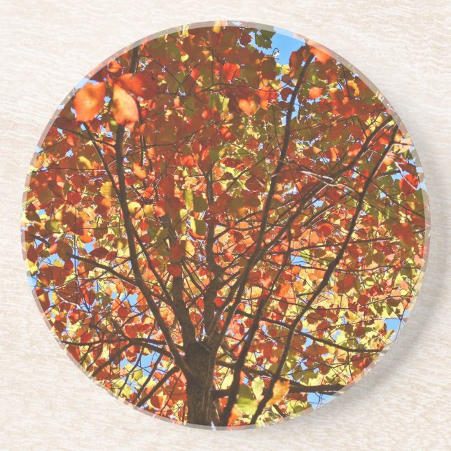 Autumn Leaves Fireworks Coaster (Front)