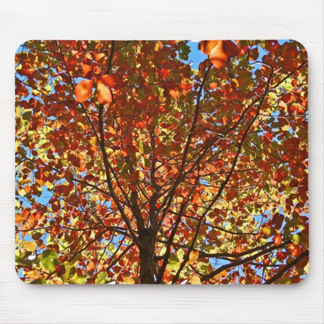 Autumn Leaves Fireworks Mouse Pad (Front)