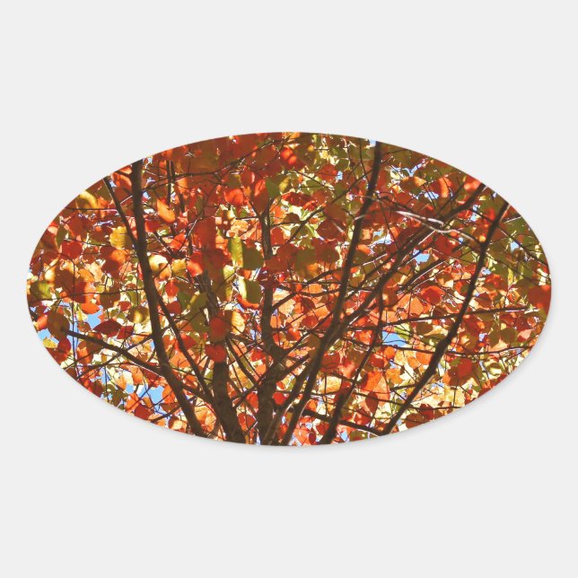 Autumn Leaves Fireworks Oval Sticker (Front)
