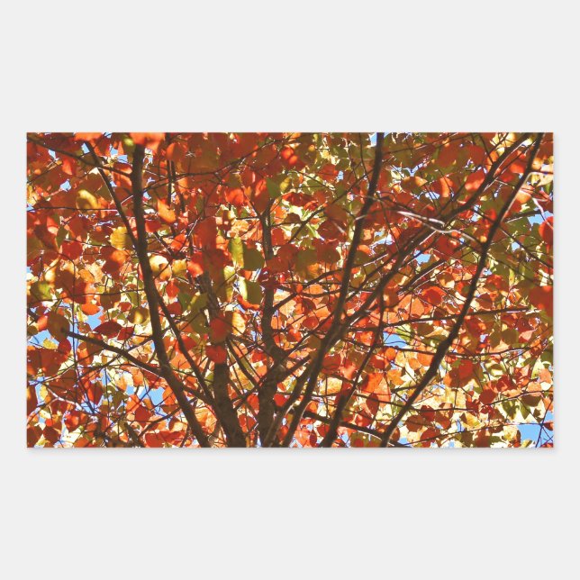 Autumn Leaves Fireworks Rectangular Sticker (Front)