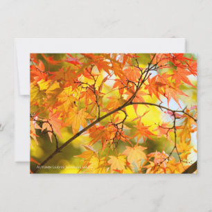 Autumn Leaves [Flat Card] Announcement