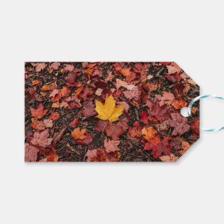 Autumn leaves  gift tags