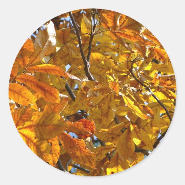 Autumn Leaves Gold Gifts Apparel Collectibles Classic Round Sticker (Front)