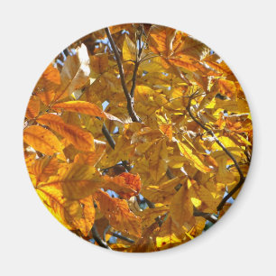 Autumn Leaves Gold Gifts Apparel Collectibles Magnet