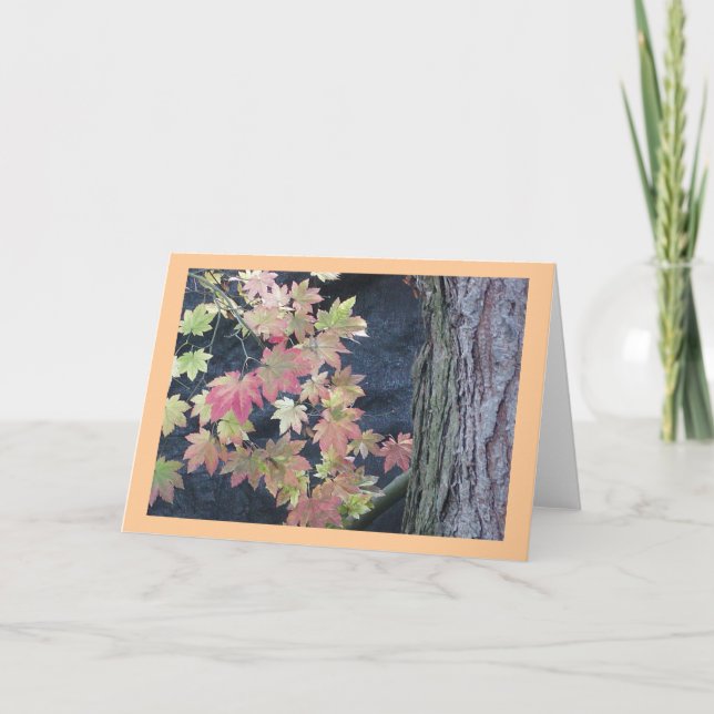 Autumn Leaves Greeting Cards (Front)