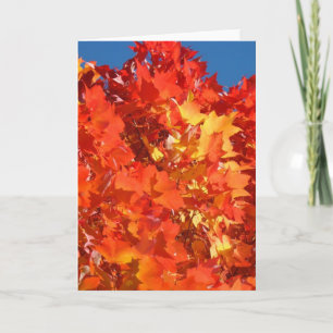 Autumn Leaves Greeting Cards Orange Red Yellow