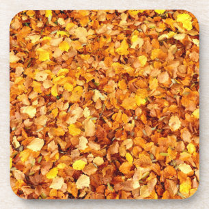 Autumn Leaves Hard Plastic Coasters