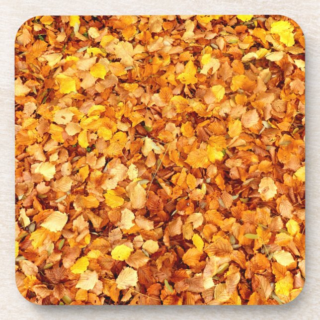 Autumn Leaves Hard Plastic Coasters (Front)