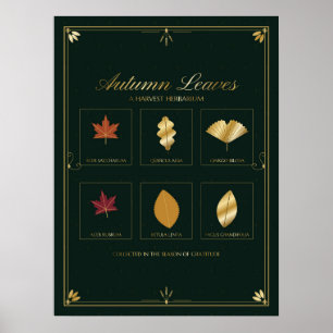 Autumn Leaves Herbarium Thanksgiving Wall Art