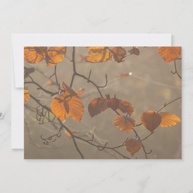 Autumn leaves holiday card (Front)