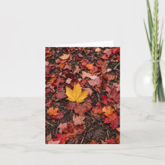 Autumn Leaves  Holiday Card