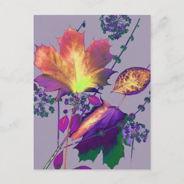 Autumn Leaves in Lilac Postcard (Front)