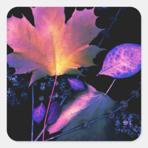 Autumn Leaves in Neon Square Sticker