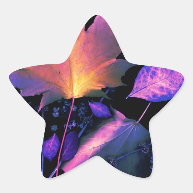 Autumn Leaves in Neon Star Sticker (Front)