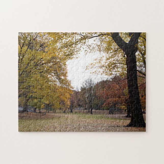 Autumn Leaves in New York City Central Park NYC Jigsaw Puzzle (Horizontal)