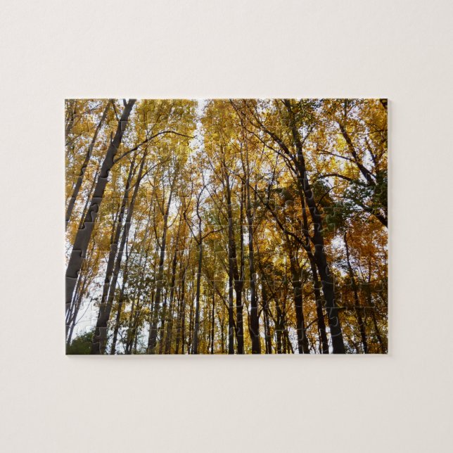 Autumn Leaves in the Morning Maryland Nature Jigsaw Puzzle (Horizontal)