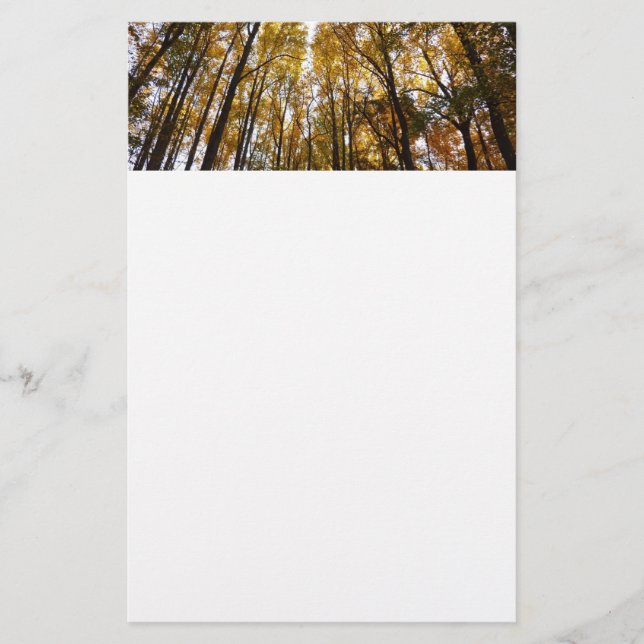 Autumn Leaves in the Morning Maryland Nature Stationery (Front)