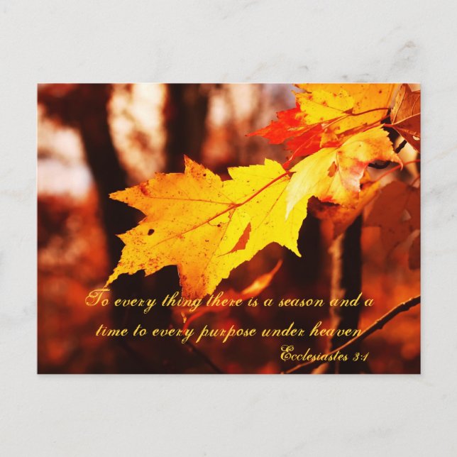 Autumn Leaves in the Poconos Postcard (Front)