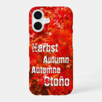 Autumn leaves