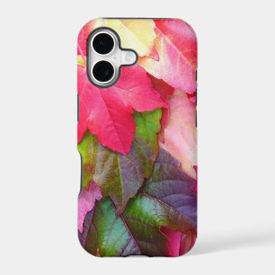 Autumn Leaves iPhone 5 case