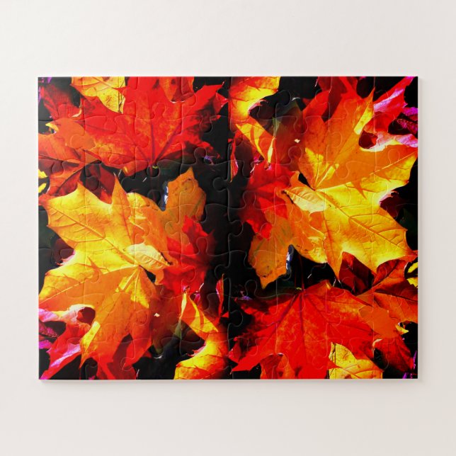 Autumn leaves jigsaw puzzle (Horizontal)