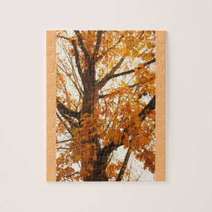 Autumn Leaves Jigsaw Puzzle