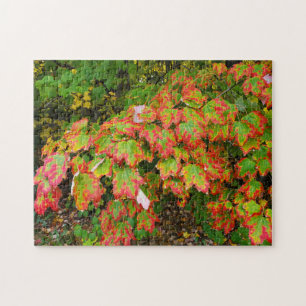 Autumn leaves jigsaw puzzle