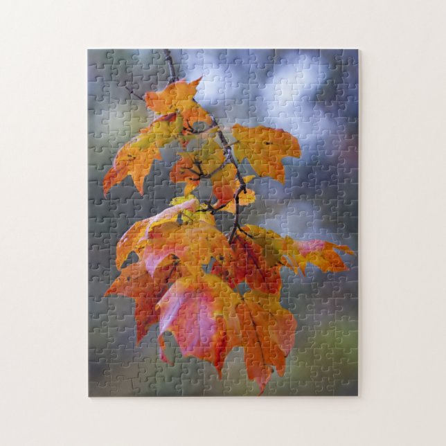 Autumn Leaves Jigsaw Puzzle (Vertical)