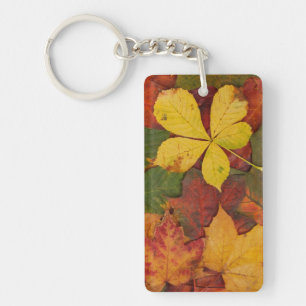 Autumn Leaves Key Ring