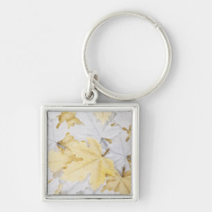 Autumn Leaves Key Ring