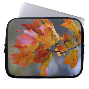 Autumn Leaves Laptop Sleeve