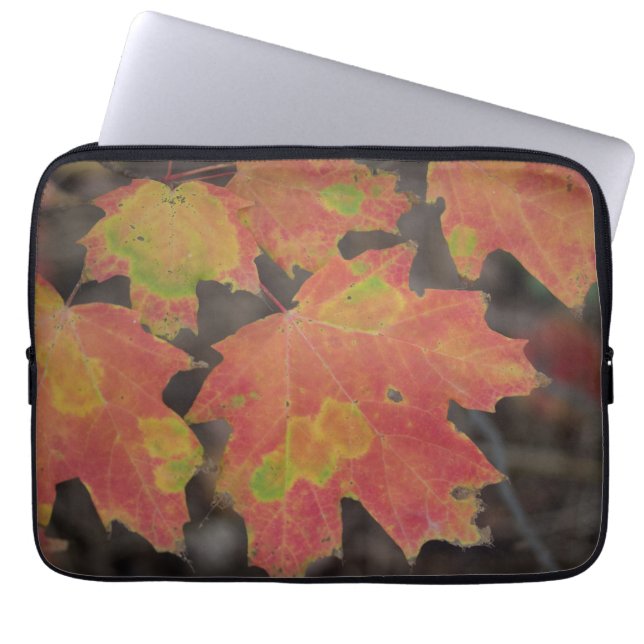Autumn Leaves Laptop Sleeve (Front)