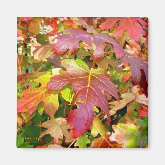 'Autumn Leaves' Magnet (Front)