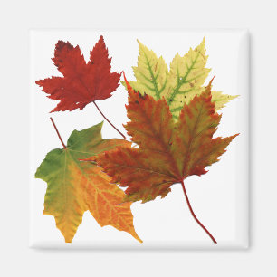 AUTUMN LEAVES MAGNET
