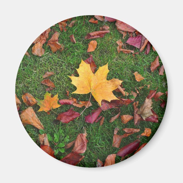 Autumn Leaves Magnet (Front)
