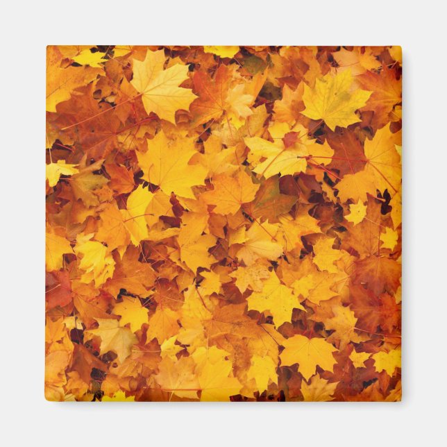 Autumn Leaves Magnet (Front)