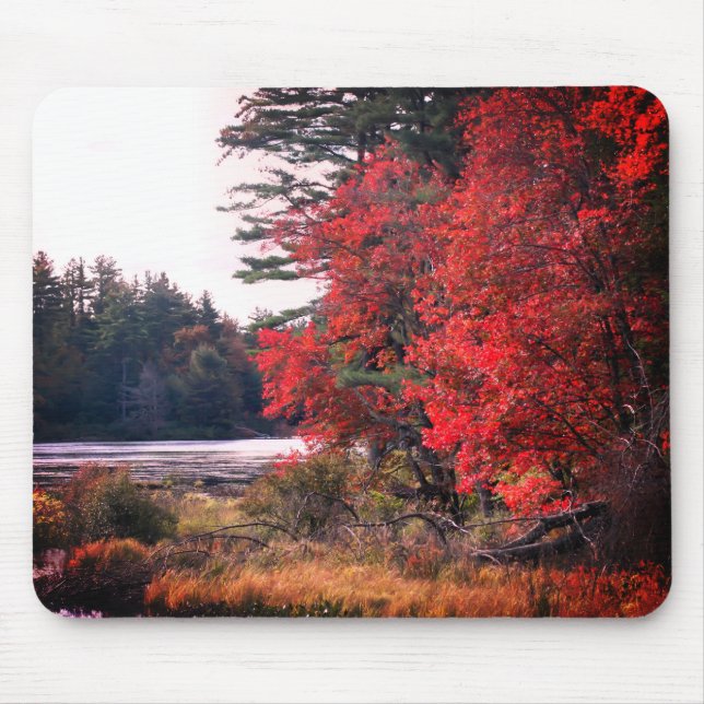 Autumn Leaves Marsh Nature  Mouse Pad (Front)