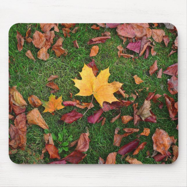 Autumn Leaves Mouse Pad (Front)