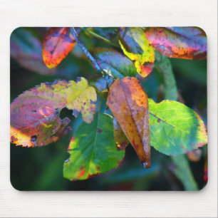 Autumn Leaves Mousemat