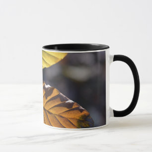 Autumn Leaves Mug