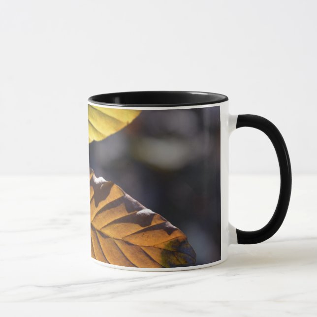 Autumn Leaves Mug (Right)
