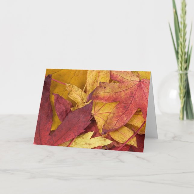 Autumn Leaves Note Card (Front)