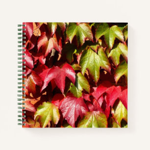 Autumn leaves notebook