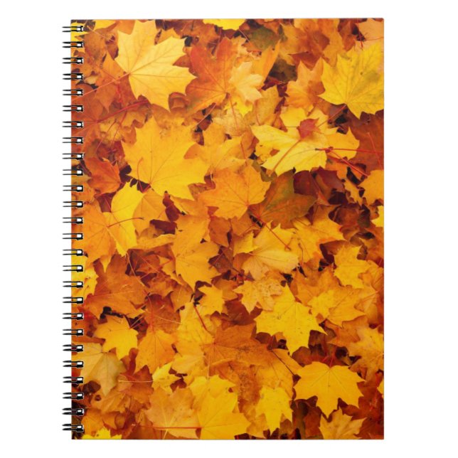 Autumn Leaves Notebook (Front)