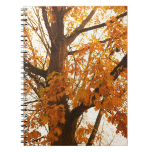 Autumn Leaves Notebook
