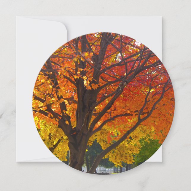 Autumn Leaves of Yellow and Orange Invitation (Front)