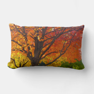 Autumn Leaves of Yellow and Orange Photo Lumbar Cushion